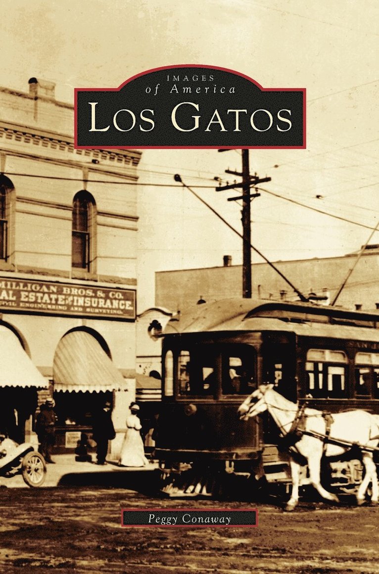 Los Gatos 1