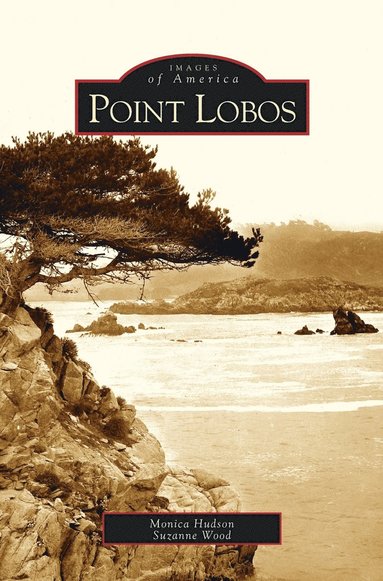bokomslag Point Lobos