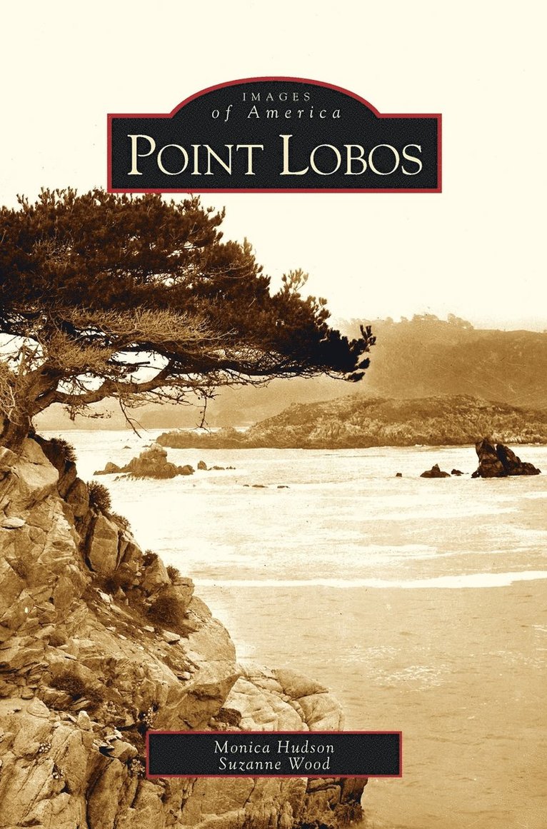 Point Lobos 1