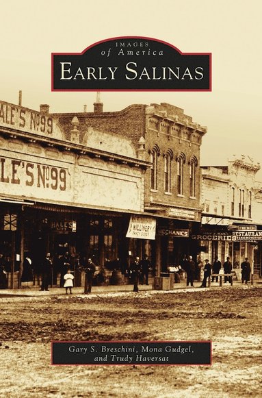 bokomslag Early Salinas