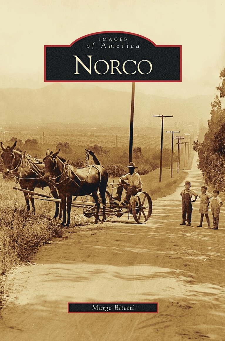 Norco 1
