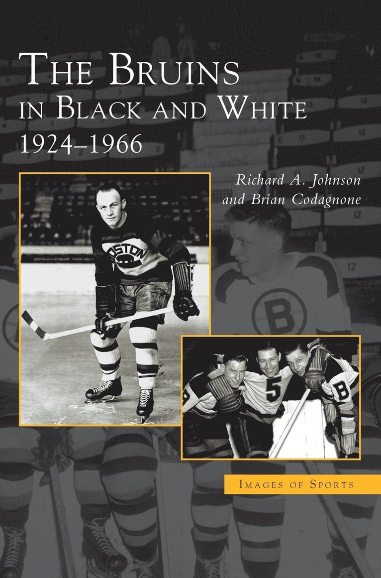 Bruins in Black and White 1