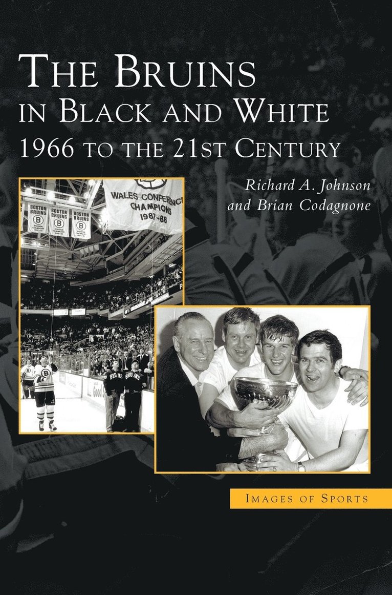 Bruins in Black & White 1