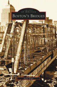 bokomslag Boston's Bridges