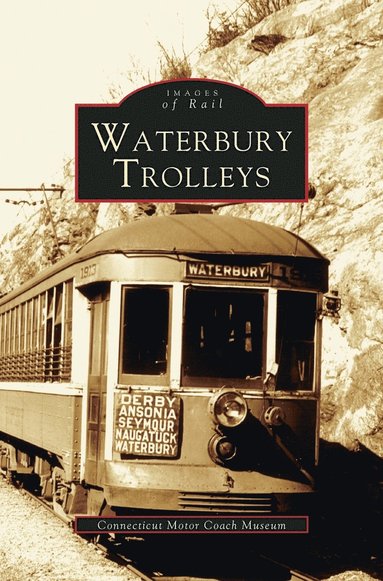 bokomslag Waterbury Trolleys