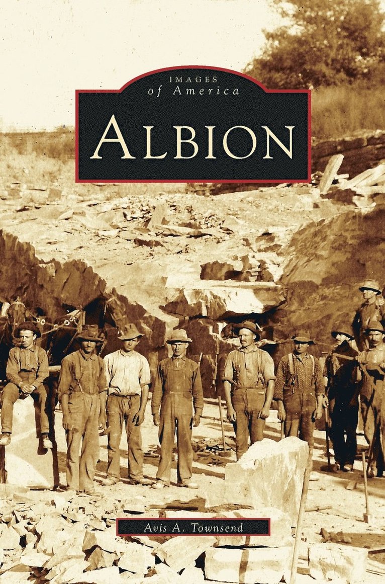 Avis Townsend - Albion, Inbunden