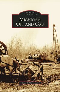 bokomslag Michigan Oil and Gas