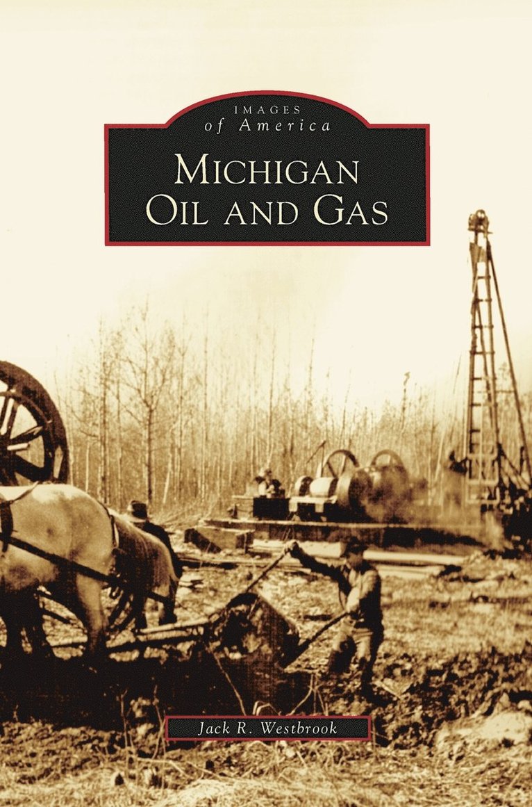 Michigan Oil and Gas 1