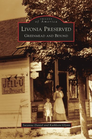 bokomslag Livonia Preserved