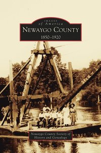 bokomslag Newaygo County 1850-1920