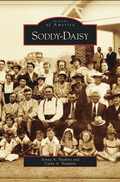 bokomslag Soddy-Daisy