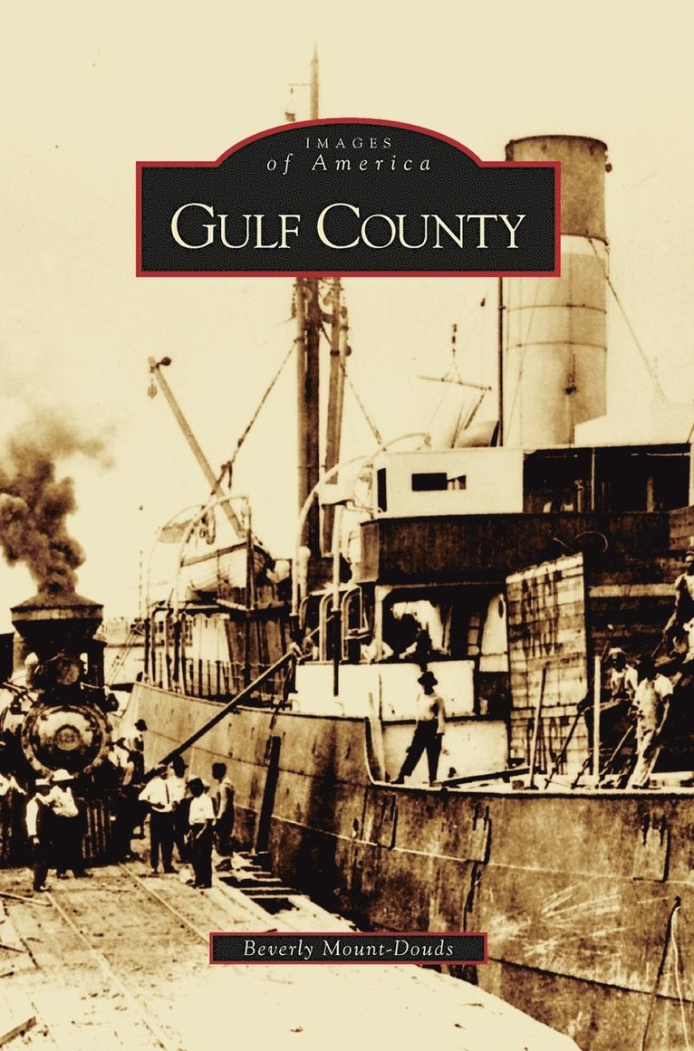 Gulf County 1