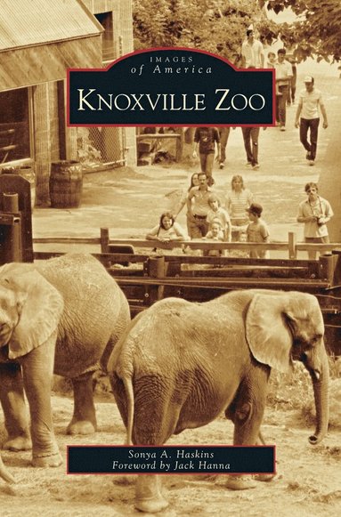 bokomslag Knoxville Zoo