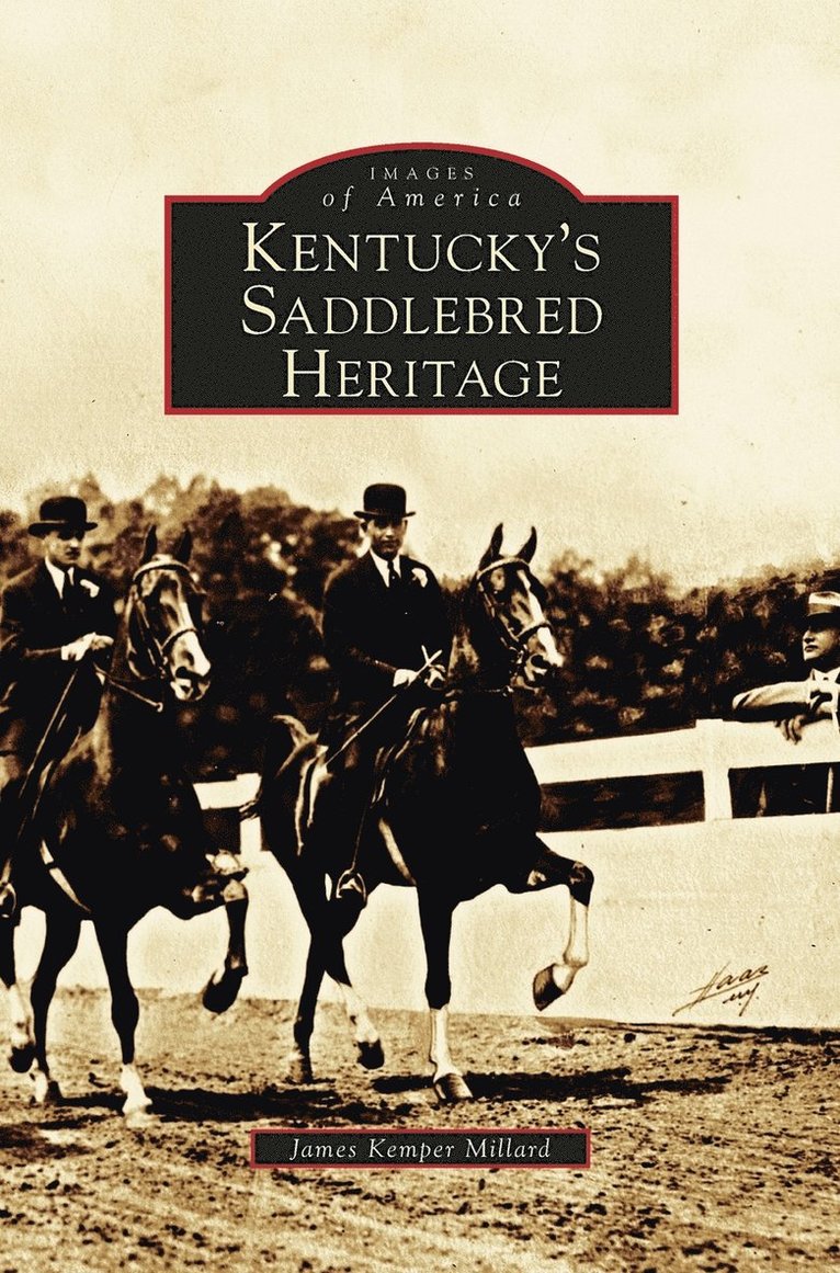 Kentucky's Saddlebred Heritage 1