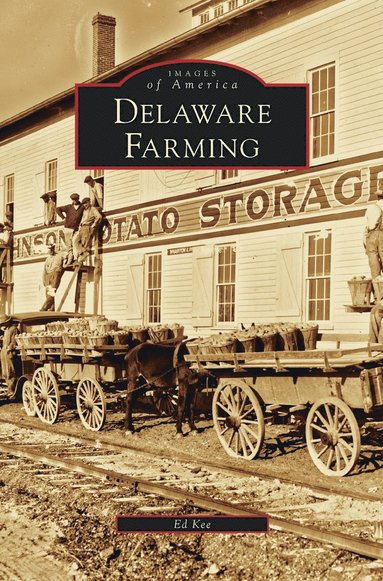 bokomslag Delaware Farming