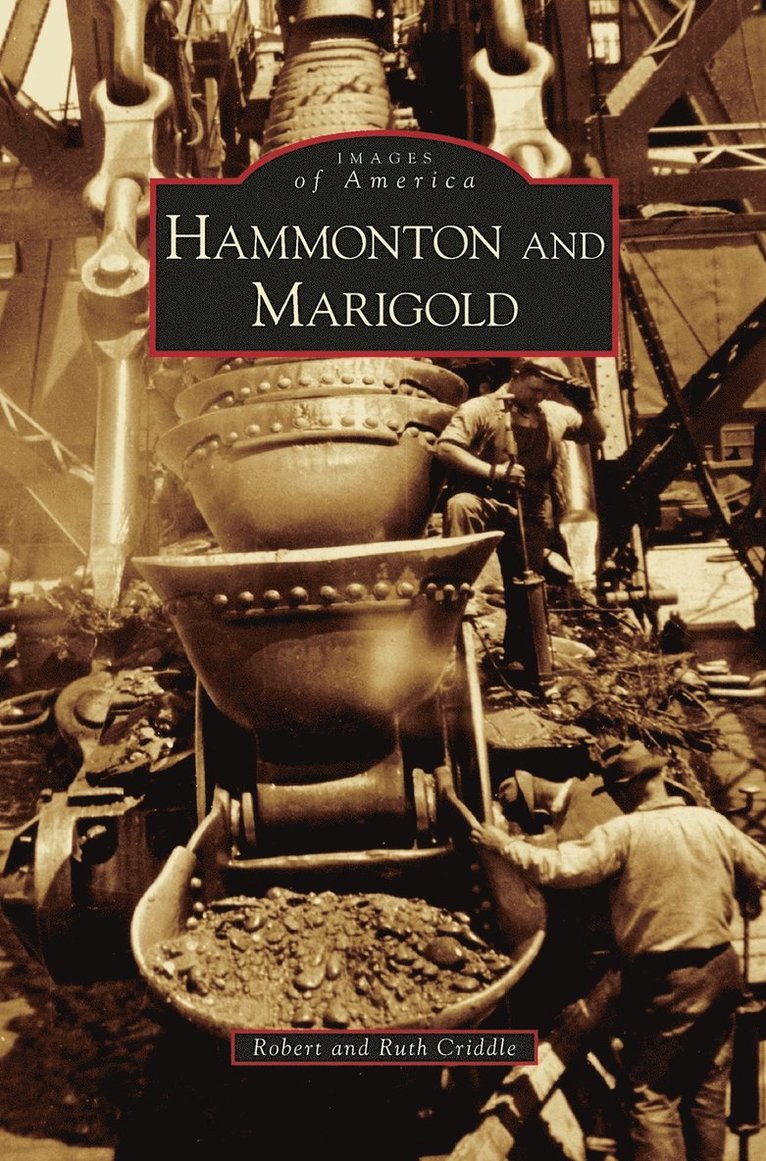 Hammonton and Marigold 1