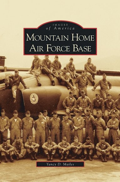 bokomslag Mountain Home Air Force Base