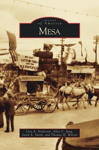 bokomslag Mesa