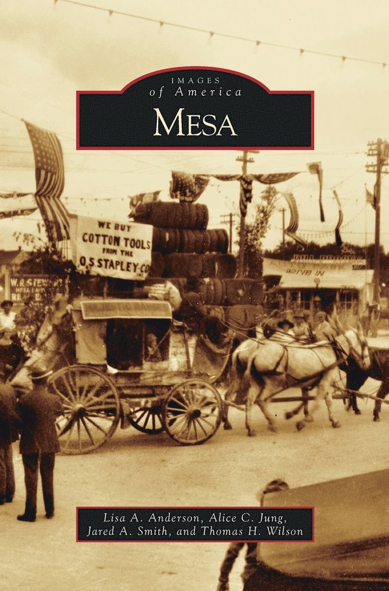 Mesa 1