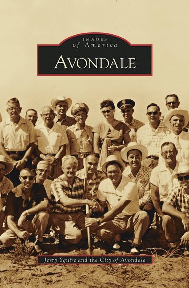 bokomslag Avondale