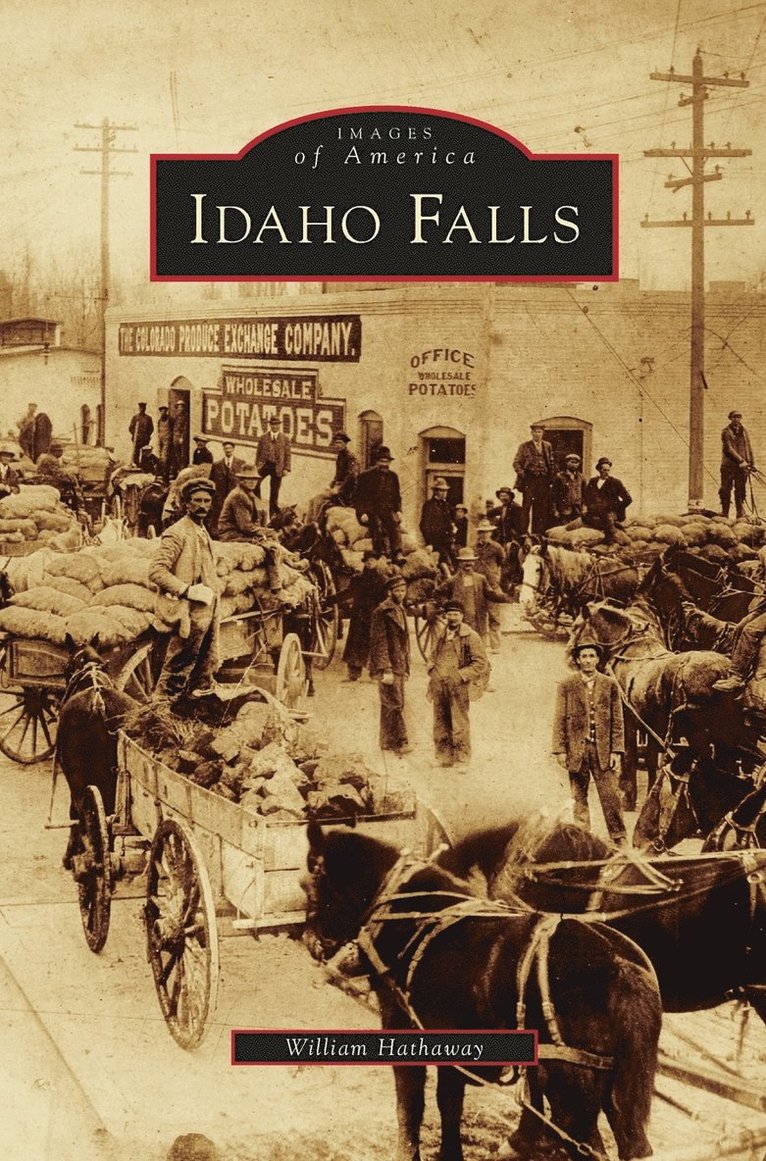 Idaho Falls 1