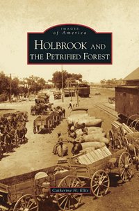bokomslag Holbrook and the Petrified Forest