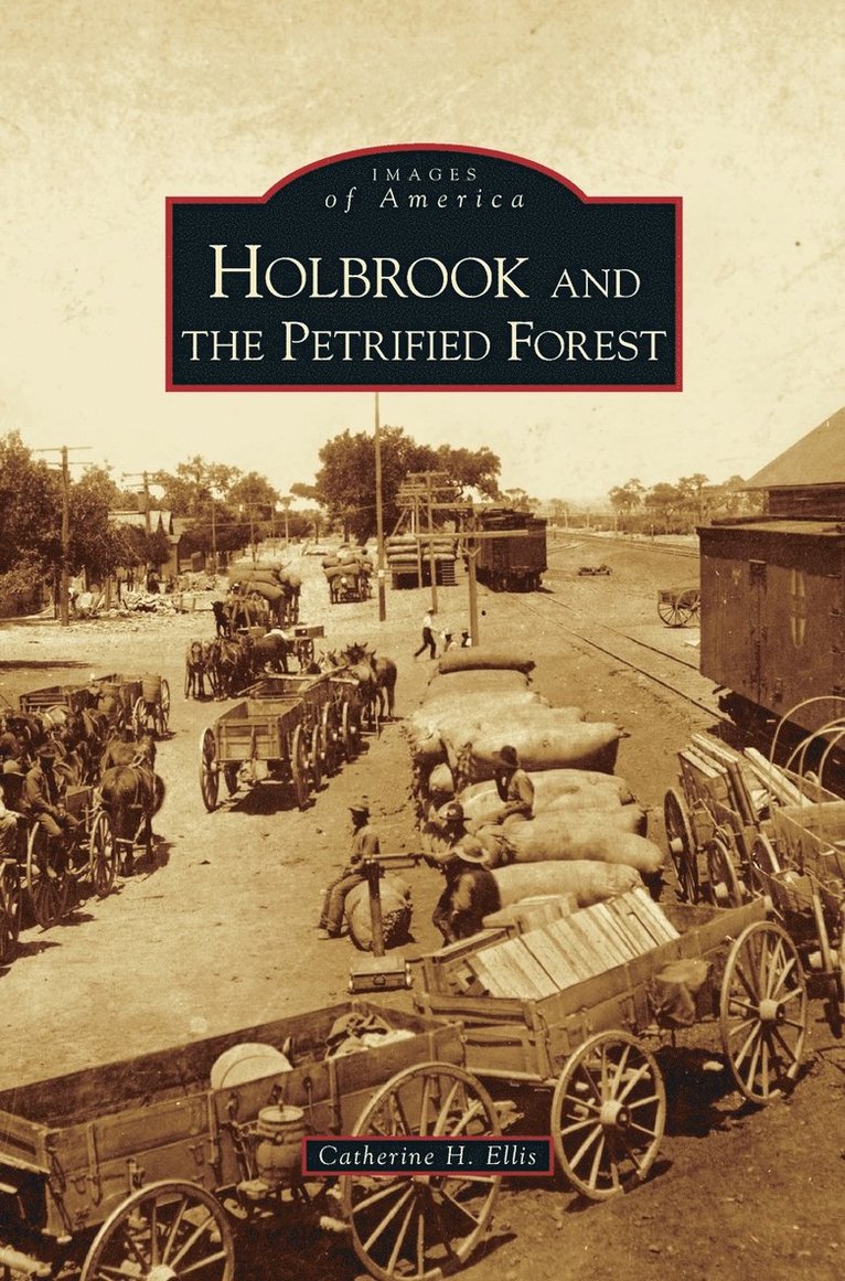 Holbrook and the Petrified Forest 1