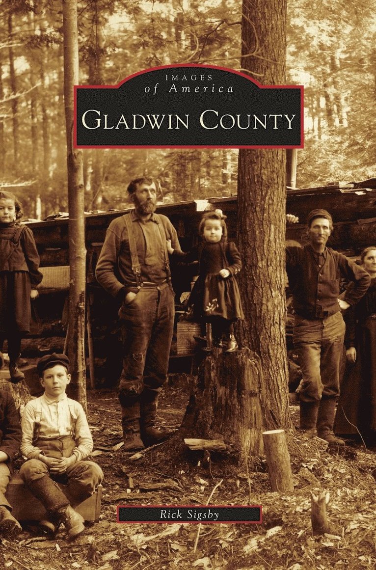 Gladwin County 1