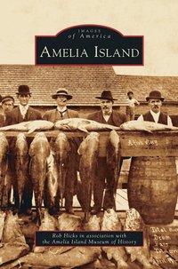 bokomslag Amelia Island