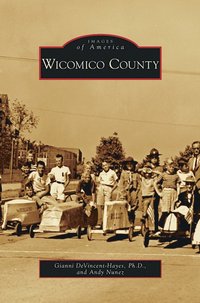 bokomslag Wicomico County