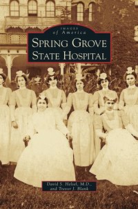 bokomslag Spring Grove State Hospital