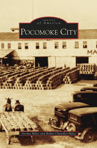 bokomslag Pocomoke City