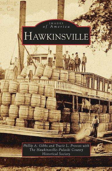 bokomslag Hawkinsville