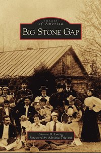 bokomslag Big Stone Gap