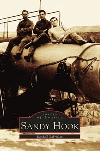 bokomslag Sandy Hook