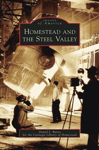 bokomslag Homestead and the Steel Valley