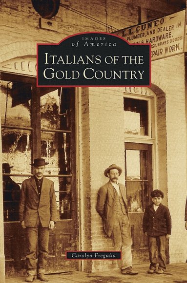 bokomslag Italians of the Gold Country