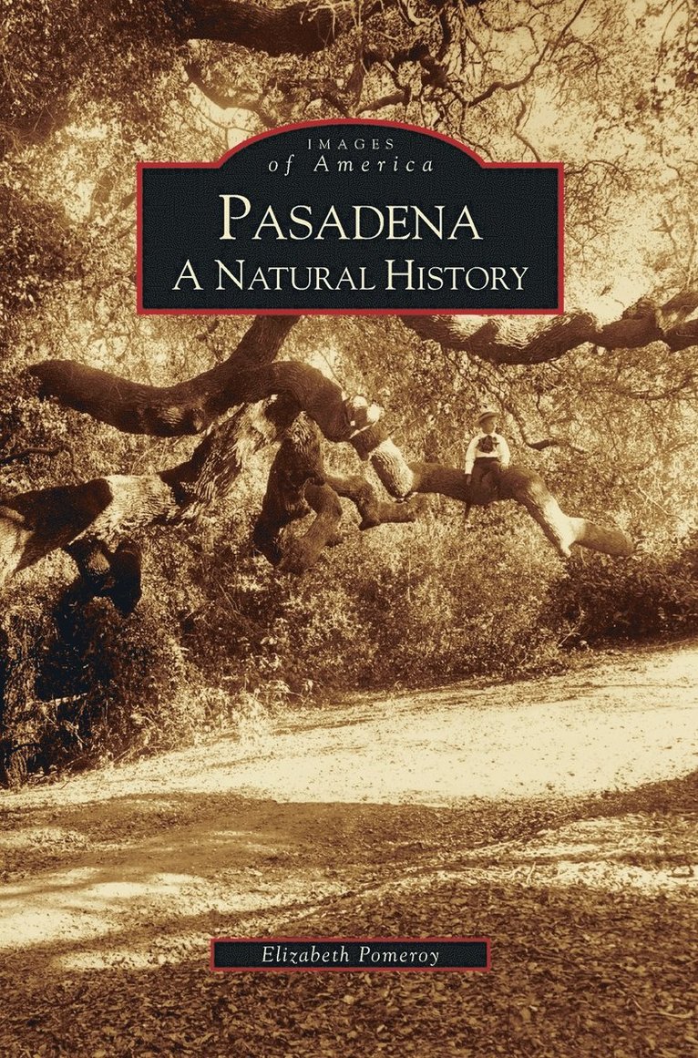 Pasadena 1