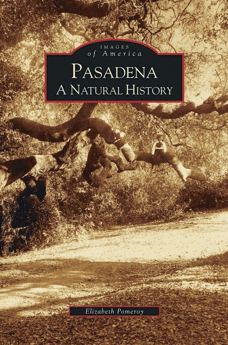 Elizabeth Pomeroy - Pasadena, Inbunden