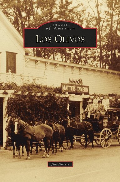 Jim Norris - Los Olivos, Inbunden