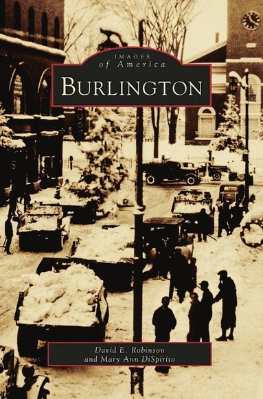 Mary Ann Dispirito, David Robinson - Burlington, Inbunden