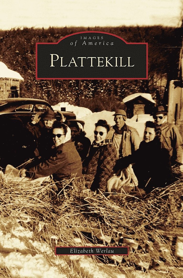 Elizabeth Werlau - Plattekill, Inbunden