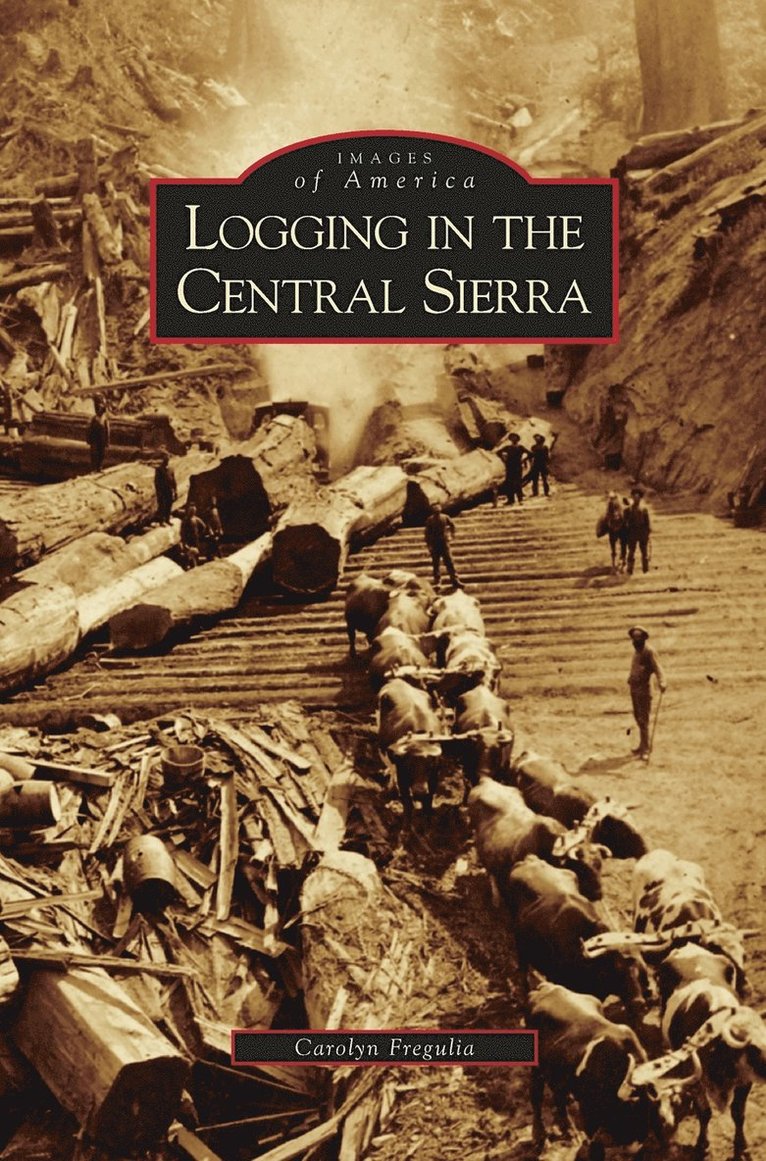 Logging in the Central Sierra 1