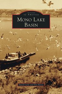 bokomslag Mono Lake Basin