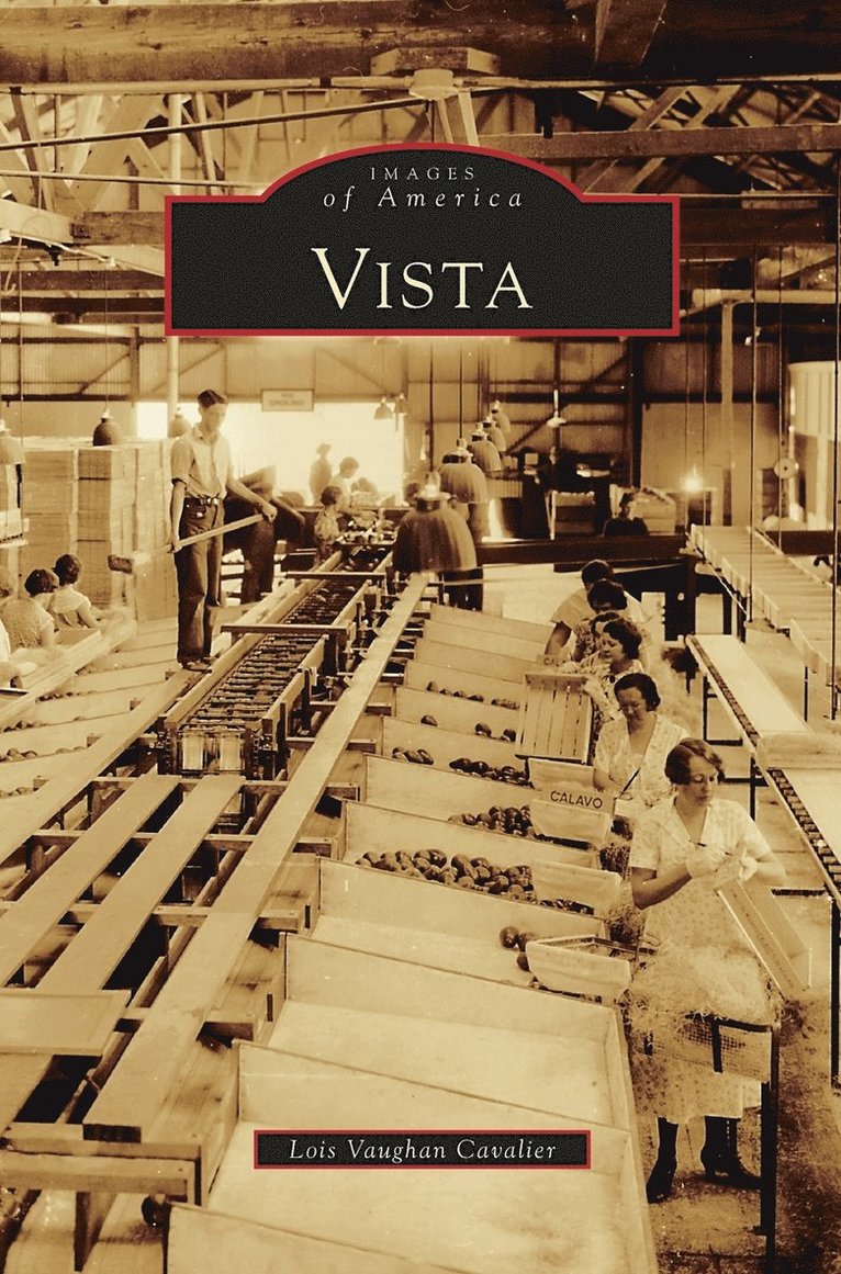 Vista 1