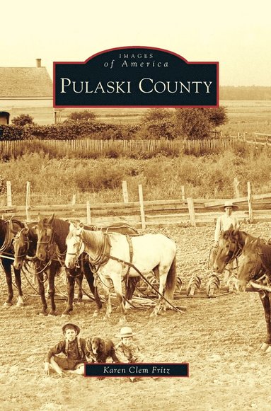 bokomslag Pulaski County