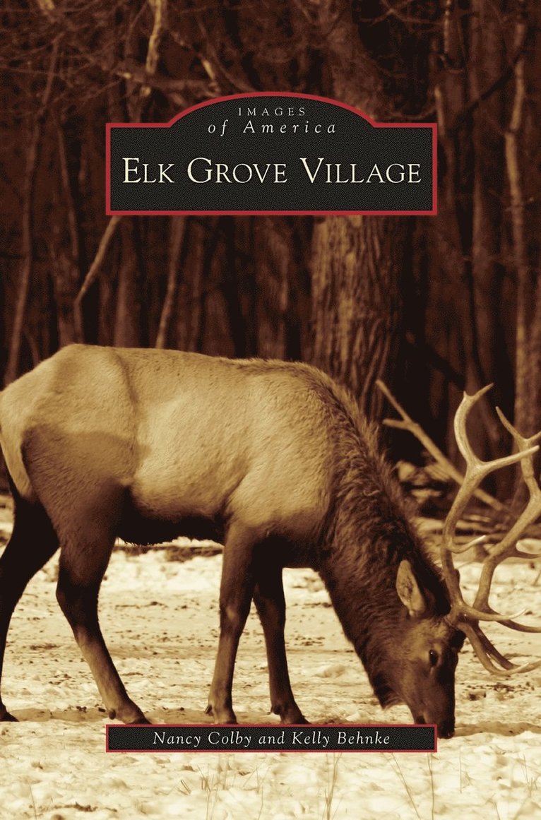 Elk Grove Village 1