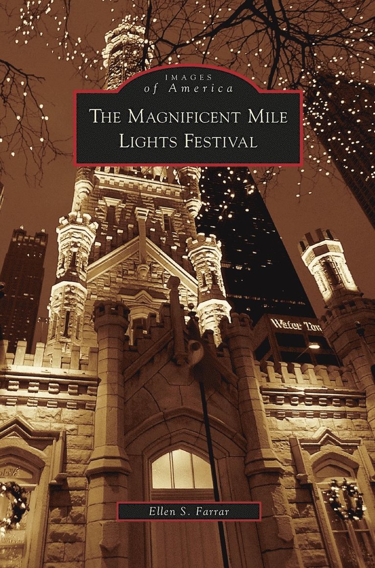 Magnificent Mile Lights Festival 1