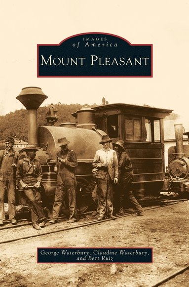 bokomslag Mount Pleasant