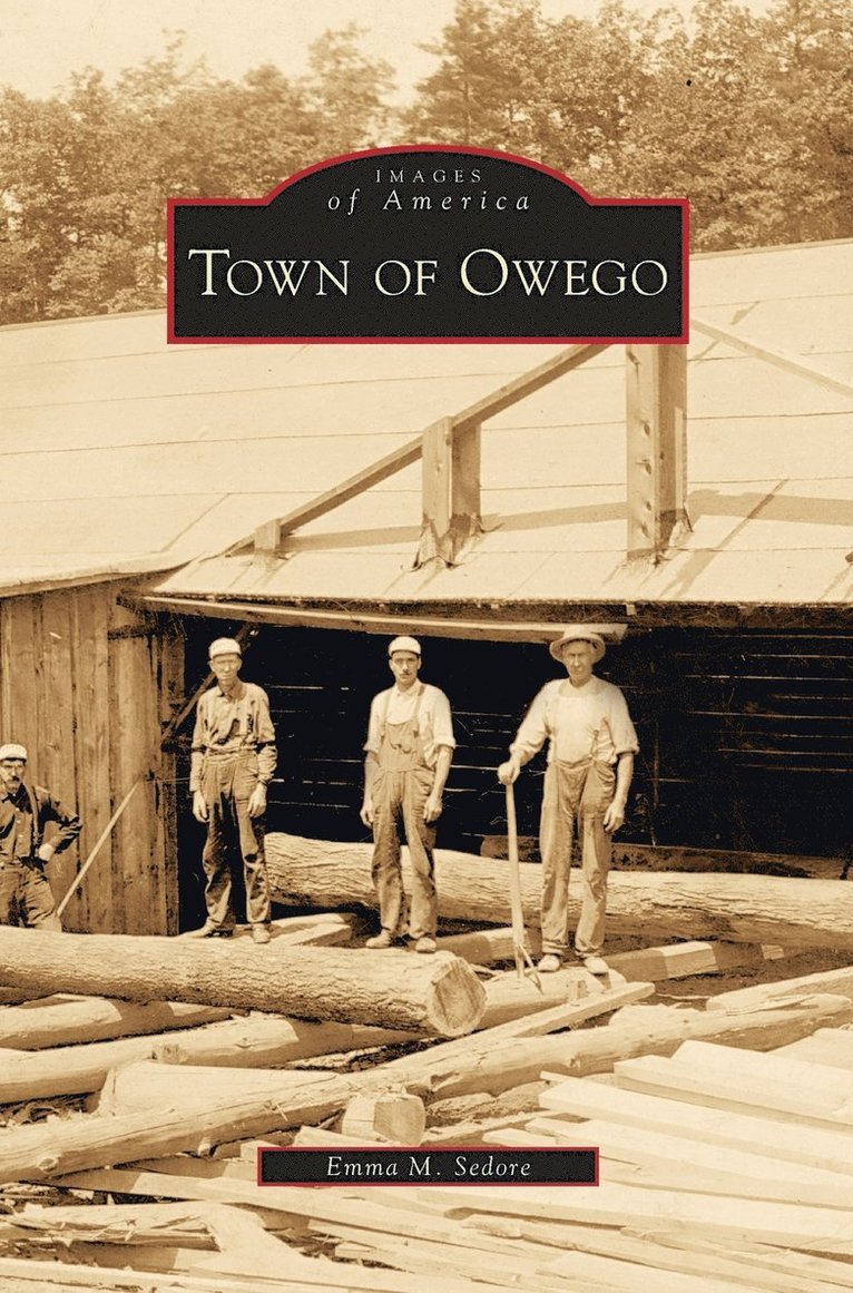 Town of Owego 1